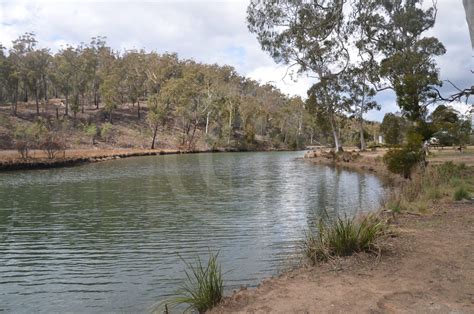 Free Camping Trout Creek Reserve Upper Scamander Fishing Beautiful ...