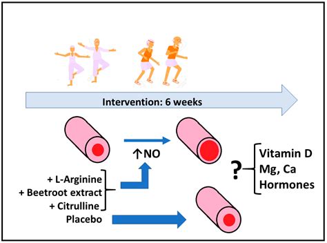 Nitric-Oxide-Inducing Factors on Vitamin D Changes in Older People ...