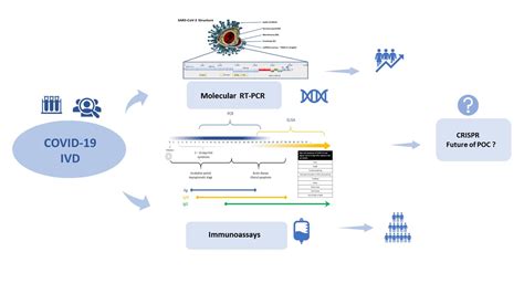 Molecular and Serological Tests for COVID-19. A Comparative Review of ...