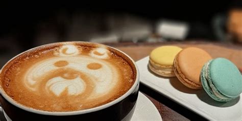 NOIR PIT COFFEE CO. PERA, Istanbul - Beyoglu - Restaurant Reviews ...