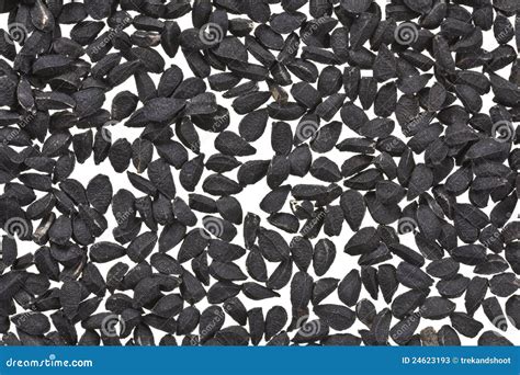 Black Kalonji Seeds on White Macro Stock Image - Image of macro ...