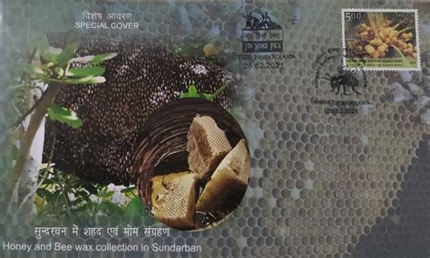 Special Cover India 2021 – Honey and Bee Wax Collection in Sunderban ...