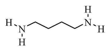 Acros Organics AC112120250 1,4-Diaminobutane 99% (25g) CAS 110-60-1 ...