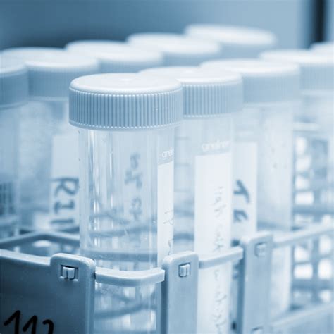 Image result for Lab Based Testing