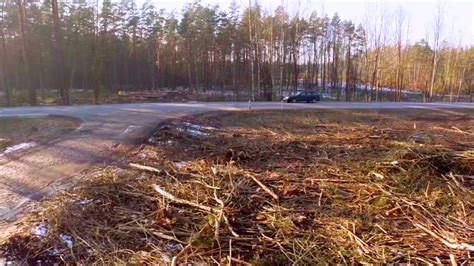 Image result for Logging Amazon Rainforest