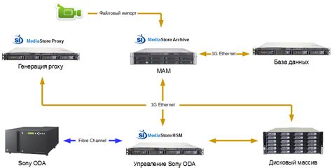 Mam Tutorials 的图像结果
