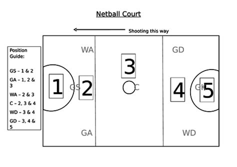 Netball Position 的图像结果