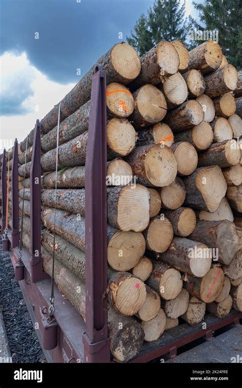 Image result for Transles