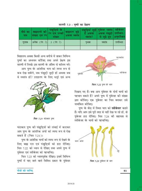Class 6 Science Chapter 7 Book 的图像结果