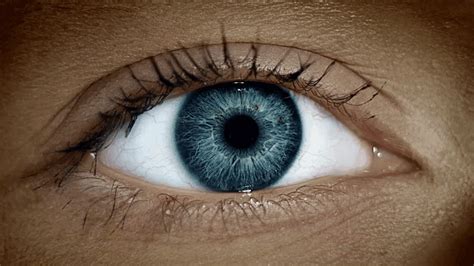 Image result for AI Lab Create Futarami