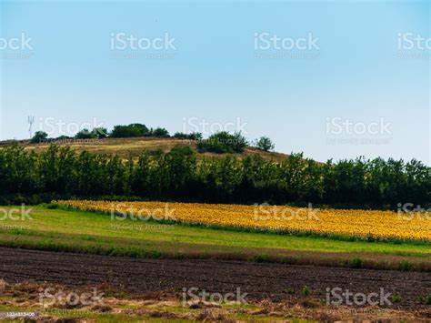 Countryside 的图像结果