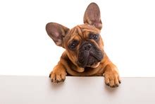 Image result for What Are Computer Model Examples