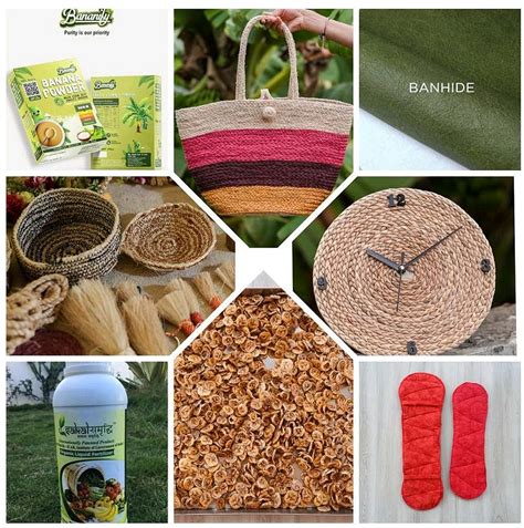 Burhanpur's Banana Bio-Economy: Empowering Women Through Sustainability