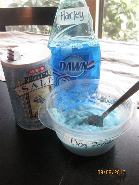 16 Home Remedies to Get Rid of Fleas