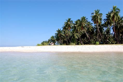 Discover Avis Island Near Mayabunder – Andaman Islands