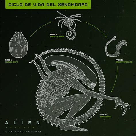 Alien Covenant Evolution 的图像结果