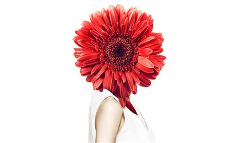 Image result for Crazy CSS Styling