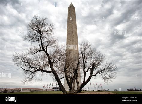 Washington Monument 的图像结果