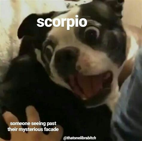 Scorpio Meme | Astrology Meme | Zodiac