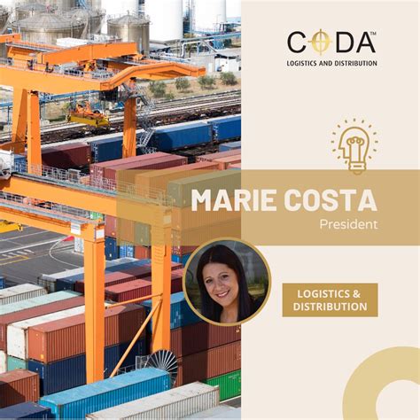 CODA Logistics and Distribution on LinkedIn: #coda #cfs #customsspecialists