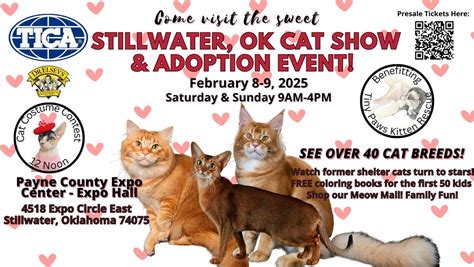 Come visit the sweet Stillwater, OK TICA Cat Show & Adoption Event ...