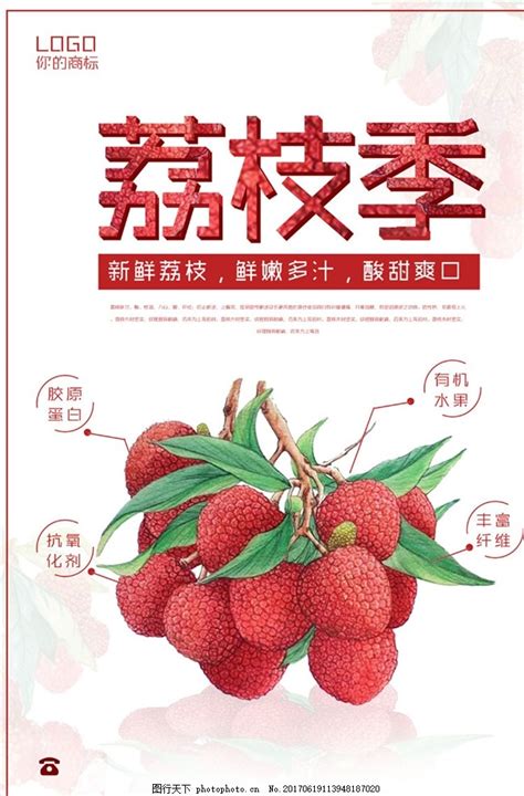 荔枝水果促销海报设计图片_动植物_商用素材_图行天下图库