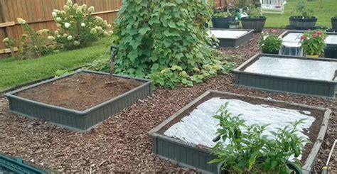 Image result for Soil Solarization Methods