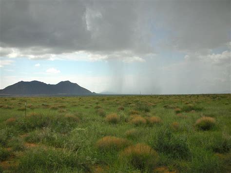 Grassland Climate And Weather