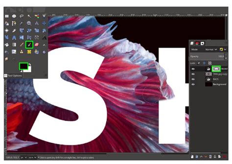 Image result for Design App UI Using GIMP
