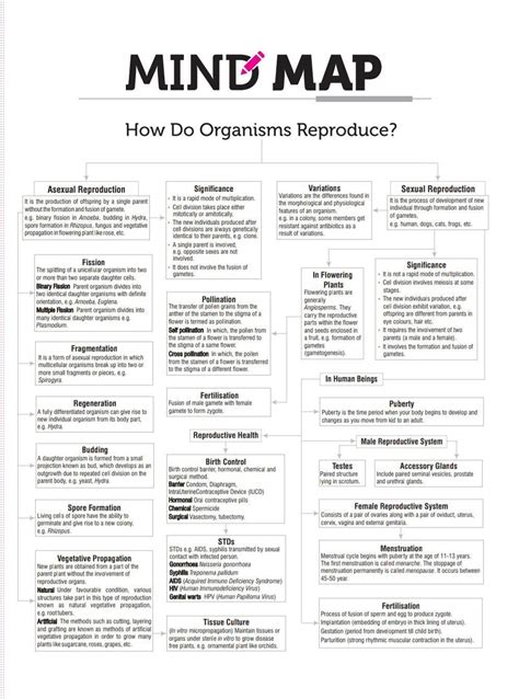 this is for grade 10.can any one of you do the mind map of chapter how ...