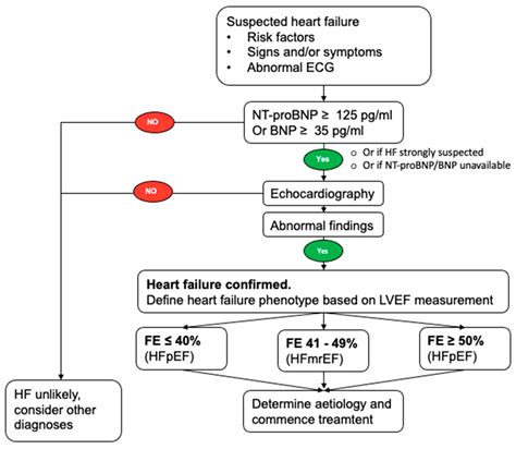 The Role of Natriuretic Peptides in the Management of Heart Failure ...