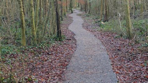 OAK PARK FOREST PARK (2026) All You Need to Know BEFORE You Go (with Photos) - Tripadvisor