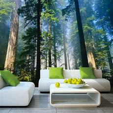 Wall Mural Nature by 5d Papel Murals Forests Wallpaper Nature Fog Trees 3d Wall Wall Mural Nature