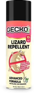 gecko First Aerosol Based Herbal Lizard Repellent Spray | Odour Free ...