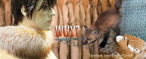 Wolves Howling Dead 的图像结果