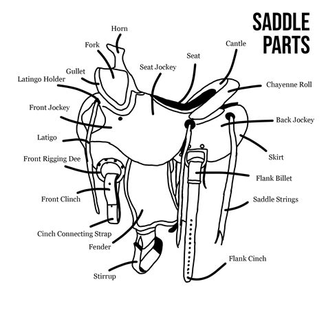 Printable Parts Of A Western Saddle