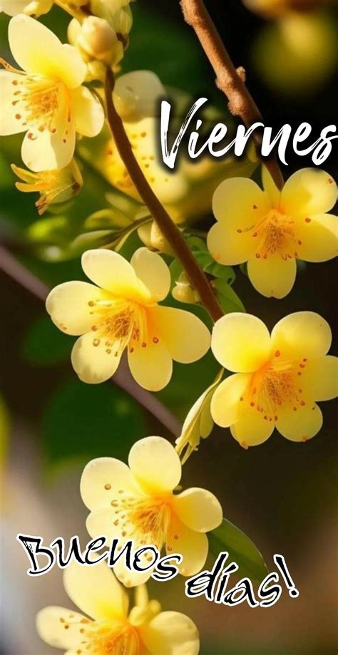 Viernes - Yellow Flowers with Spanish Quote