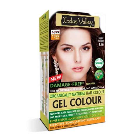 Buy INDUS VALLEY ORGANICALLY NATURAL DAMAGE FREE GEL HAIR COLOR-COPPER ...