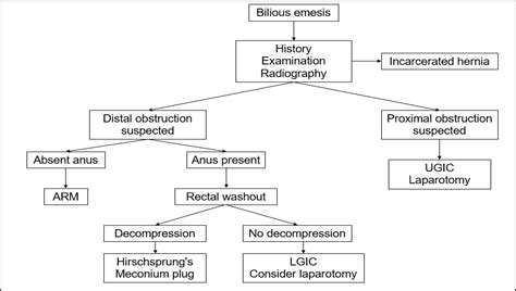 Approach to the baby with bilious vomiting - Paediatrics and Child Health
