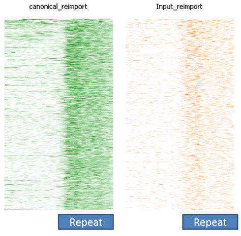 Repeat Loop Python 的图像结果