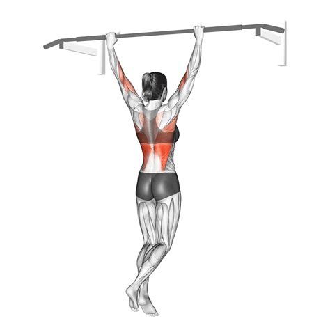 7 Best Pull-up Variations (with Pictures!) - Inspire US