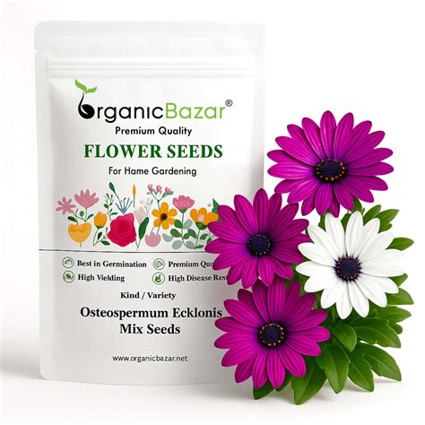 Buy best Quality Osteospermum Ecklonis Mix Seeds – Organicbazar
