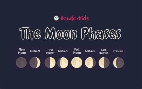 The Phases of the Moon for Kids – HowForKids