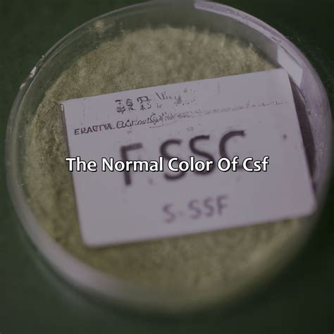 What Color Is Csf - colorscombo.com