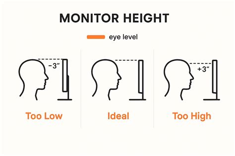 Ideal Computer Screen Height