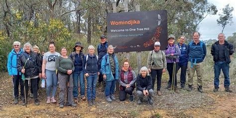 Try Bushwalking Month - The Spring Gully Loop. Much more than just the ...