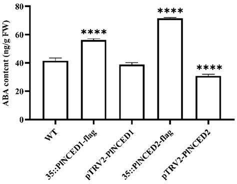 Elucidating Biological Functions of 9-cis-Epoxycarotenoid Dioxygenase ...