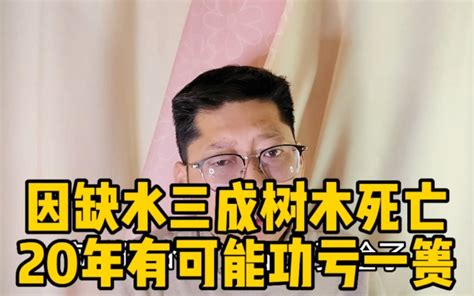 “把脉问诊”+“对症下药”，高新区“城市园丁”为树木“打吊瓶”-威海新闻网,威海日报,威海晚报,威海短视频