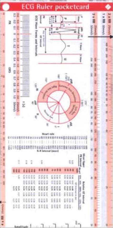 Buy ECG Ruler Pocketcard: The Emerging American Police State Book ...