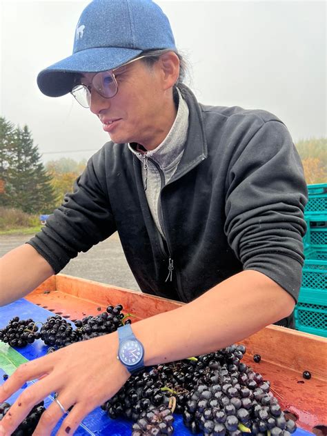 【北海道】アリマックス（10Rワイナリー醸造）SNOW ROVER PINOT NOIR 2023 | ワインショップ ヴェレゾン